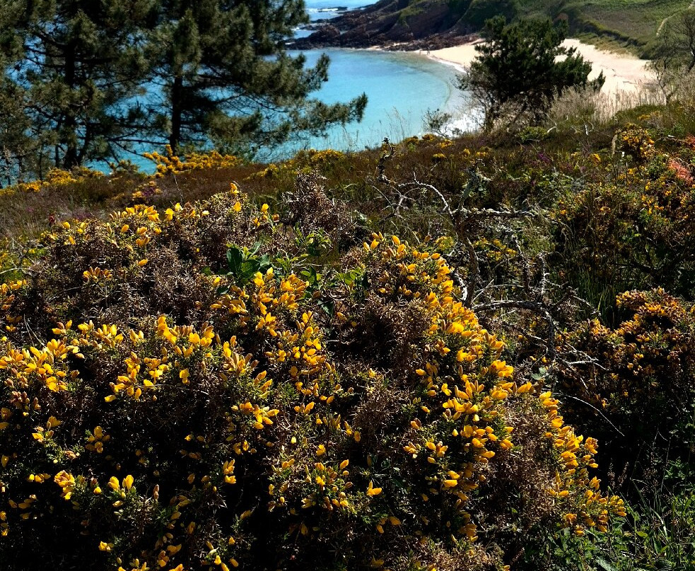Randonnées Plages Sauvages-Erquy必去景点