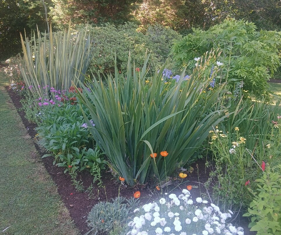 Palheiro Gardens-沙尔必去景点