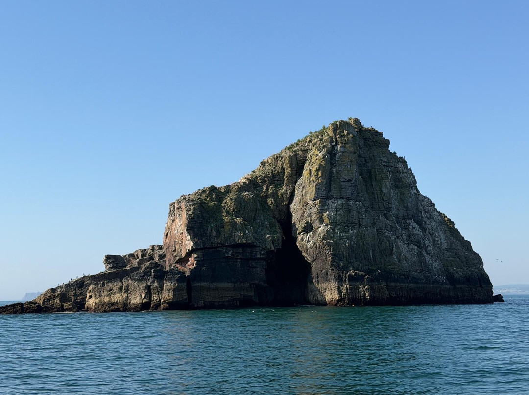 Devon Sea Safari-廷茅斯必去景点