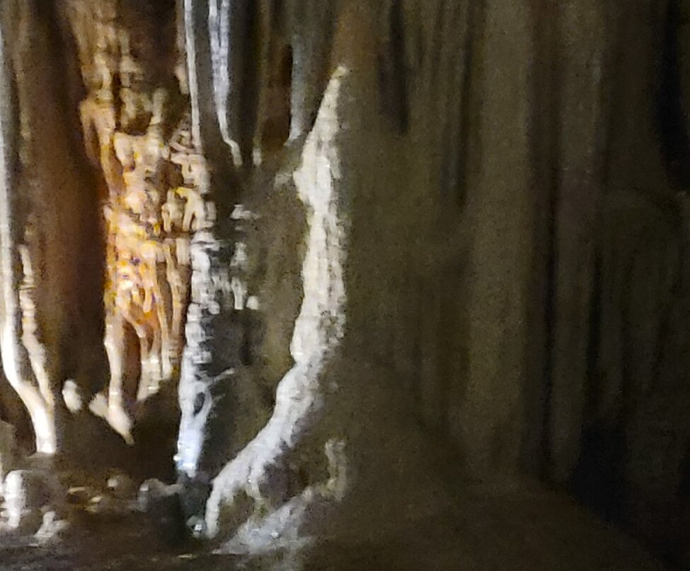 Fantastic Caverns-斯普林菲尔德必去景点