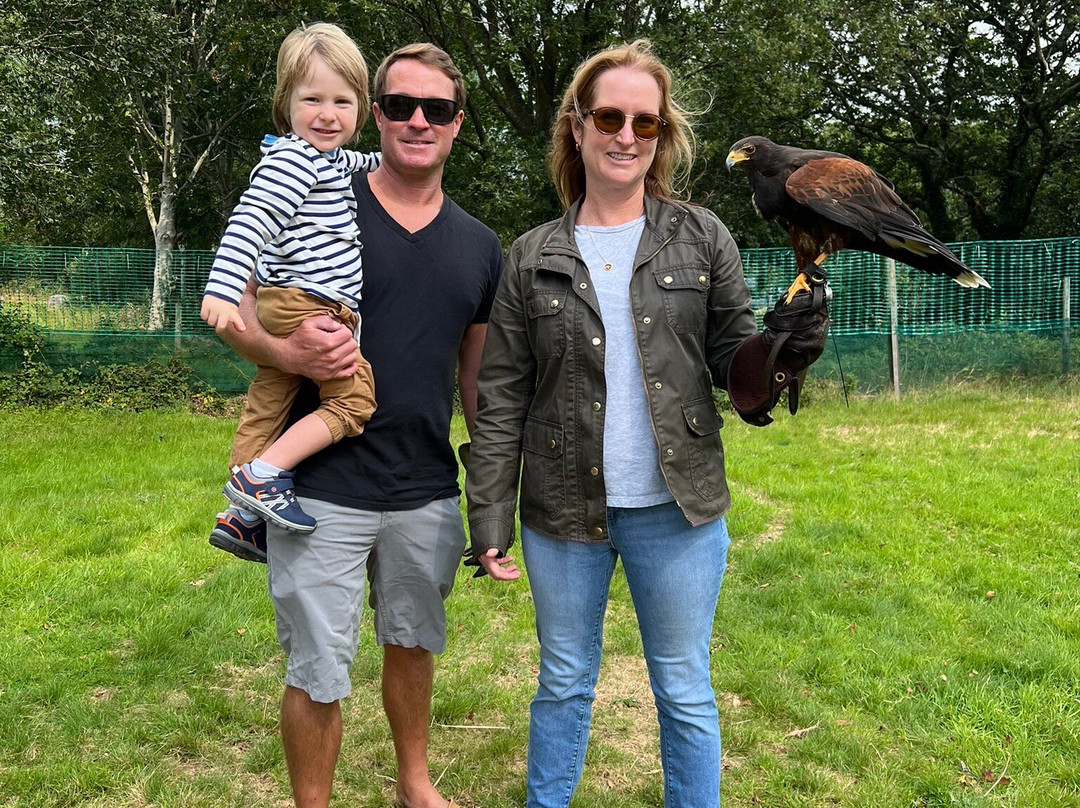 Killarney Falconry-基拉尼必去景点