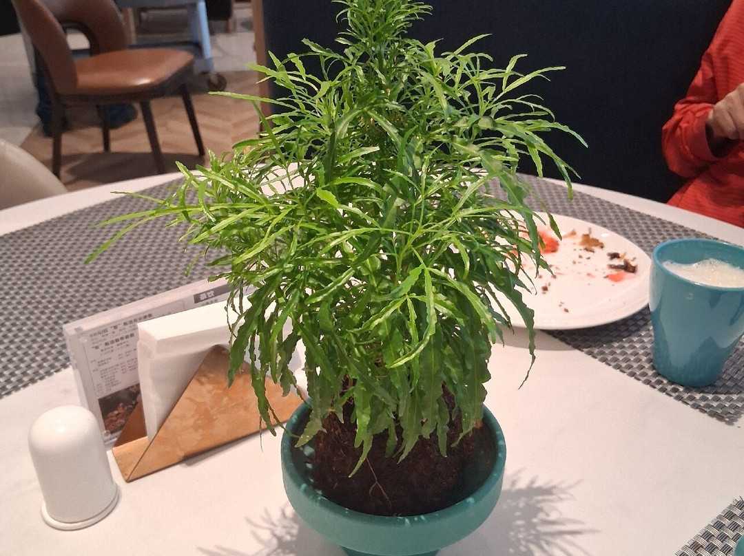 天府广场-成都必去景点