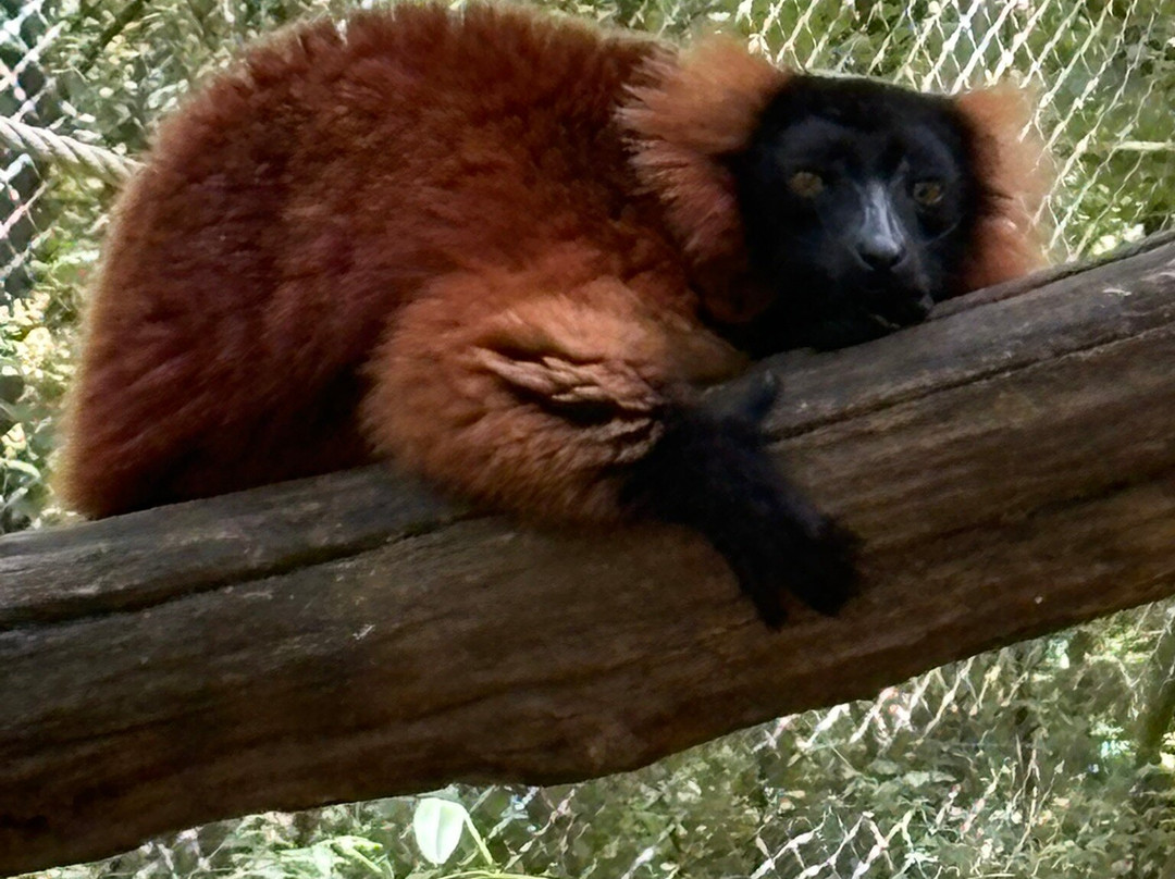 Réserve Zoologique De Calviac-Calviac-en-Perigord必去景点