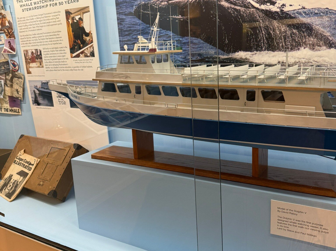 Pilgrim Monument And Provincetown Museum-普罗温斯敦必去景点
