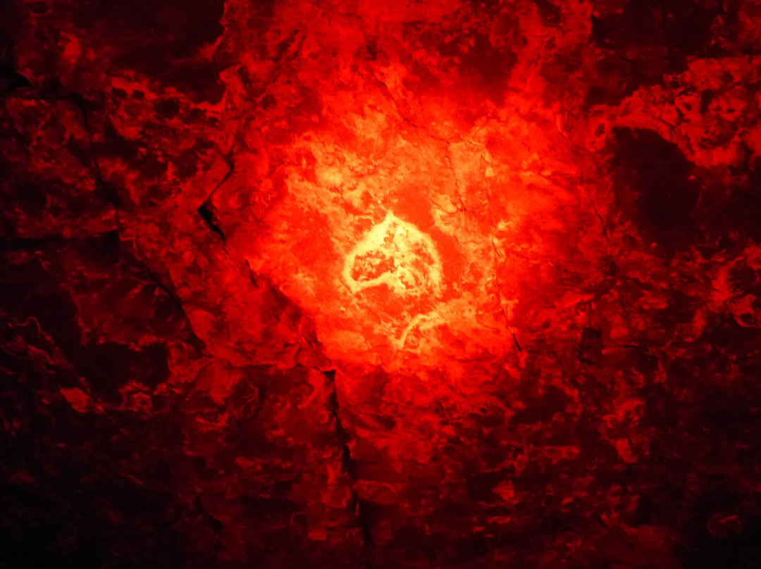 Great Value Holidays-凯恩斯必去景点