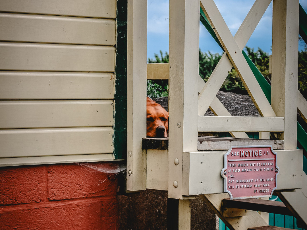Gartell Light Railway-Templecombe必去景点