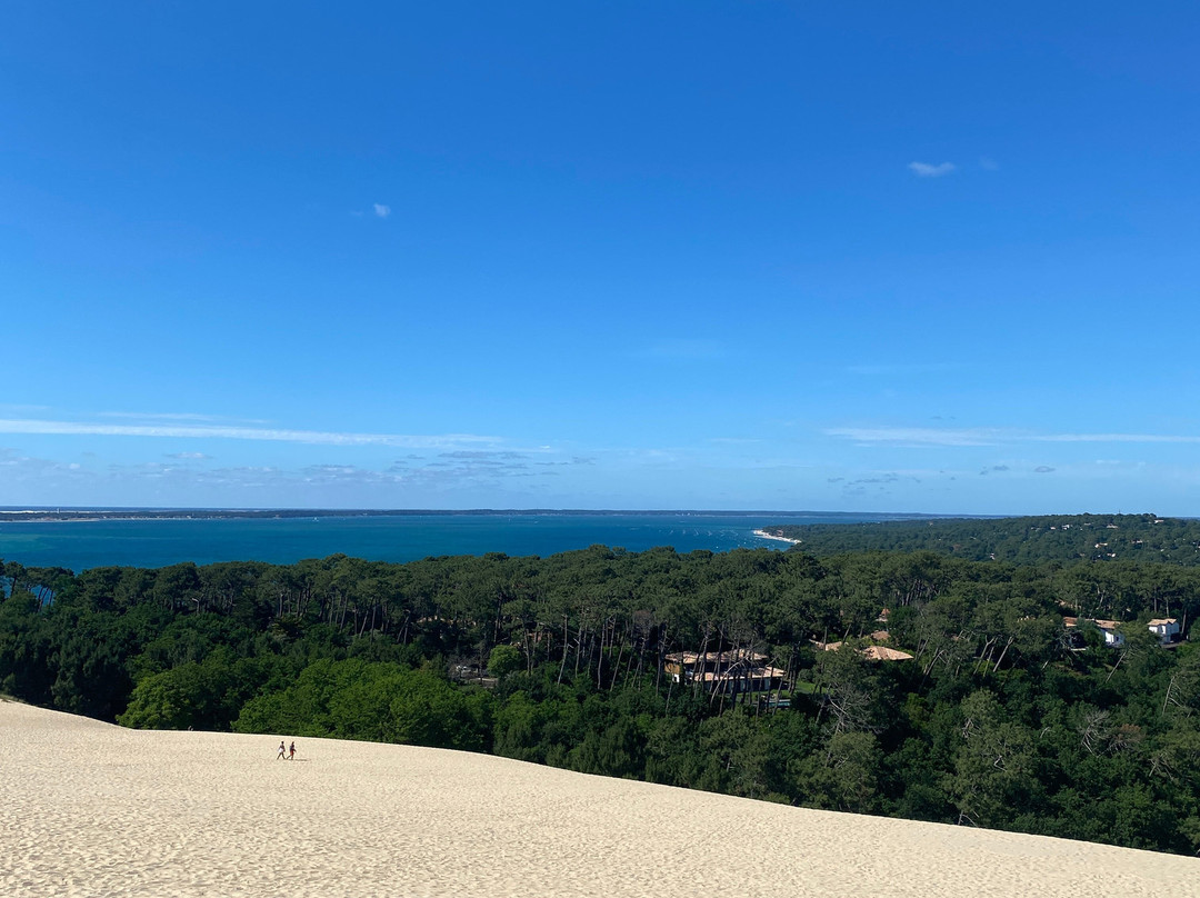 Great Dune of Pilat-拉泰斯特德比克必去景点