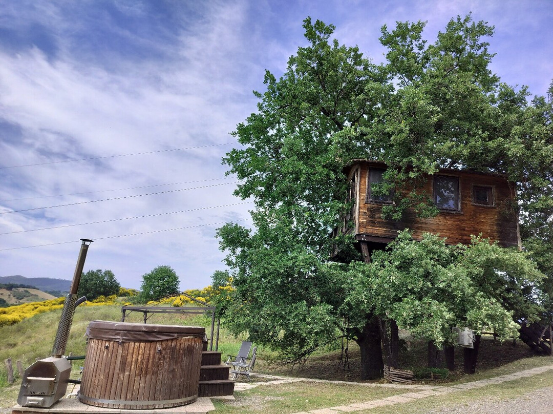 Glamping il Sole主图