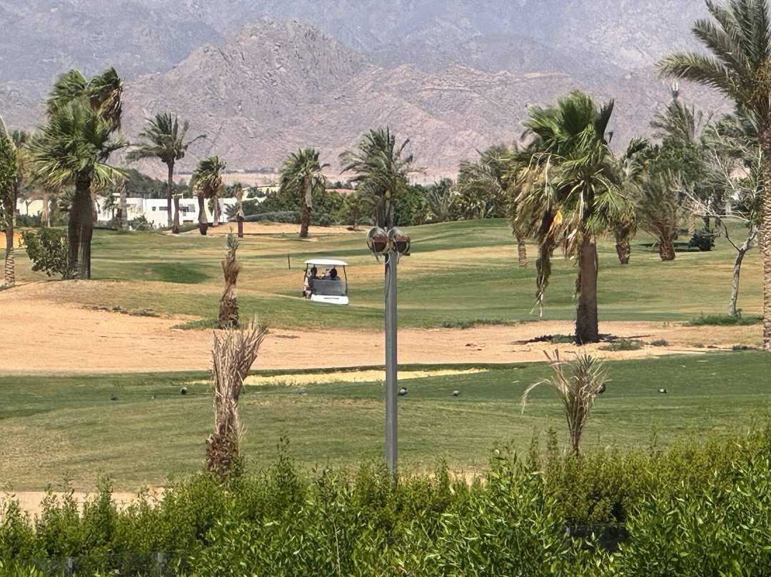 Pickalbatros Golf Course-沙姆沙伊赫必去景点
