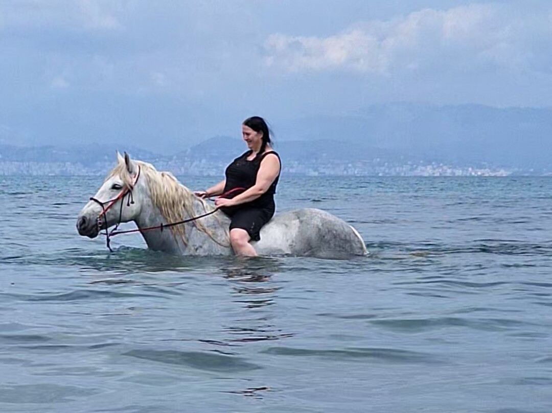 North Corfu Horses-Peritheia必去景点