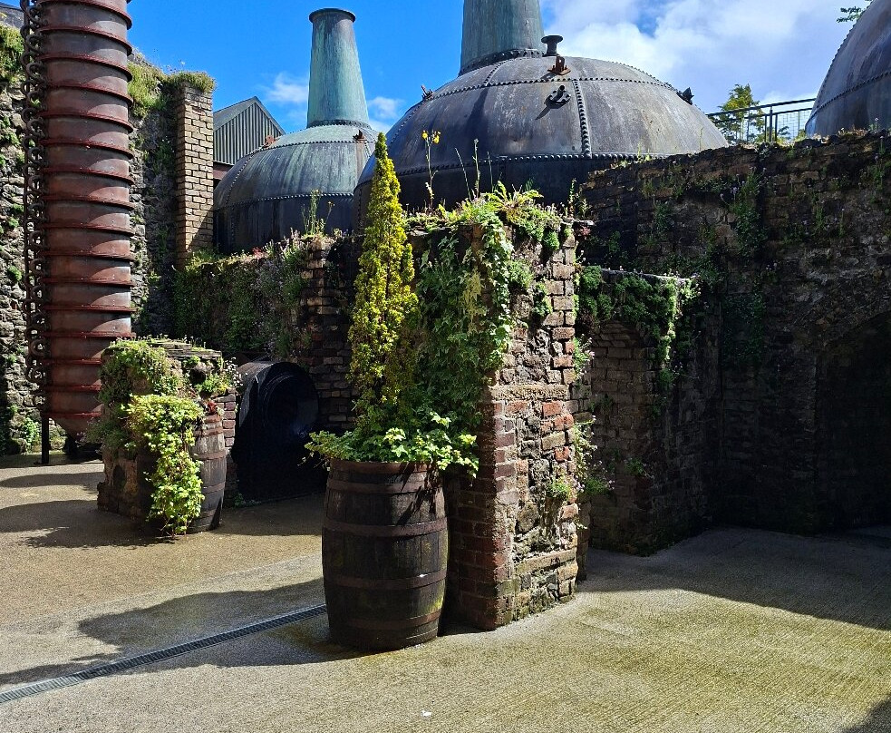 Old Kilbeggan Distillery-Kilbeggan必去景点