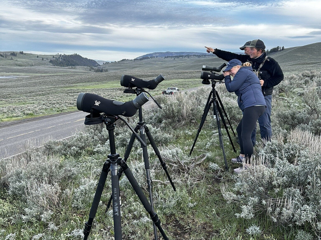 Yellowstone Wild-加德纳必去景点