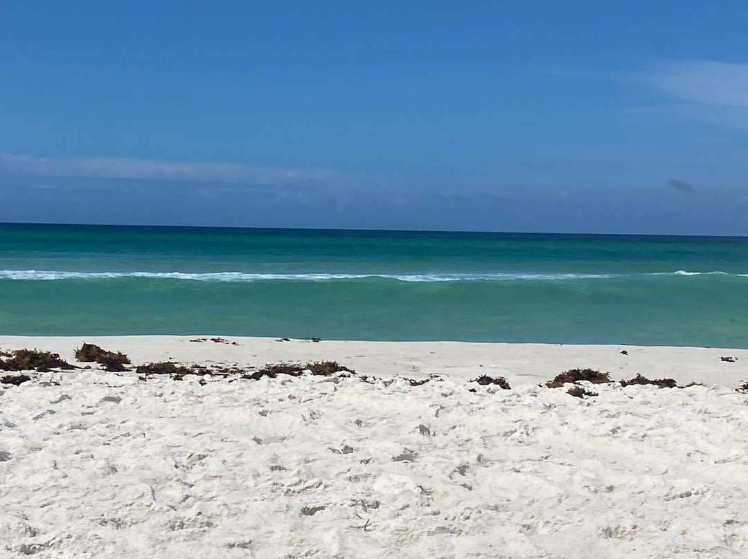 Panama City Beach-巴拿马城海滩必去景点