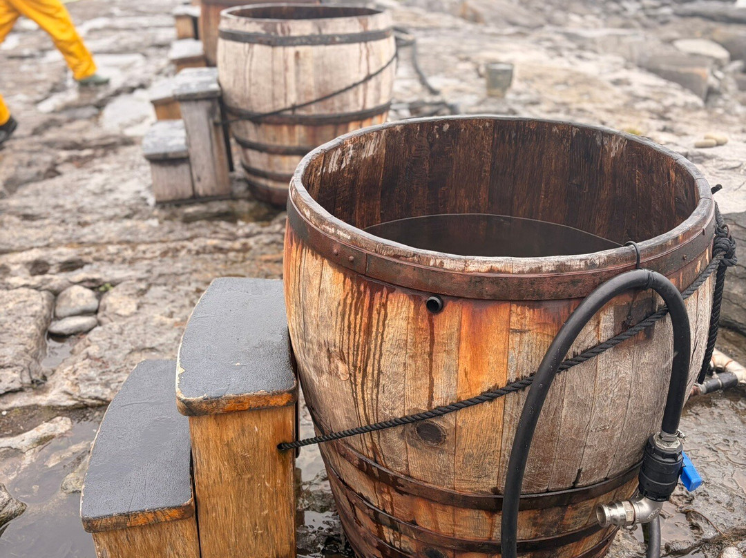 Wild Atlantic Seaweed Baths-Ballaghaline必去景点
