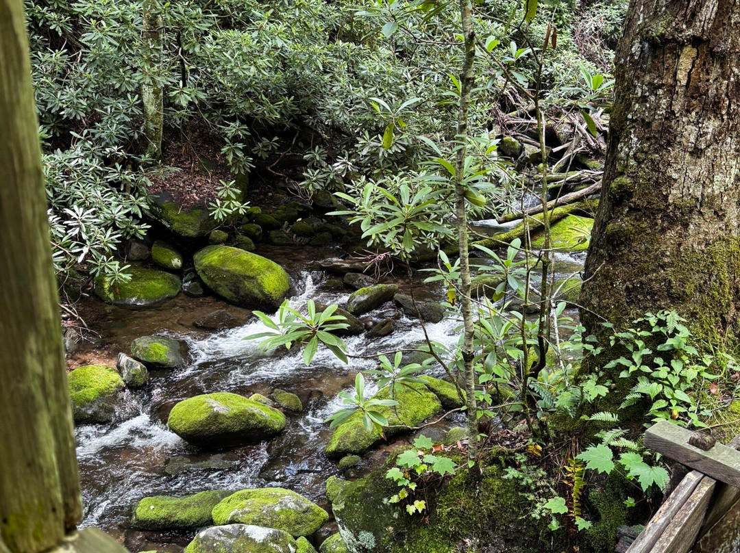 Roaring Fork Motor Nature Trail-大雾山国家公园必去景点