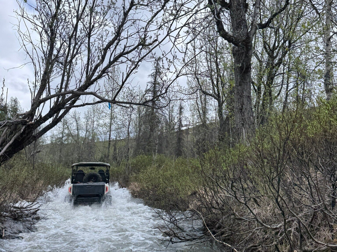 Snowhook Adventure Guides of Alaska-Willow必去景点