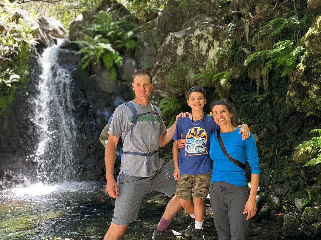 Madeira Wonder Hikes-沙尔必去景点