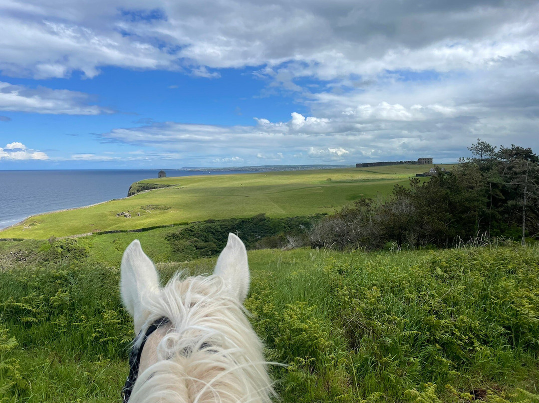 Bespoke Equestrian Ireland-都柏林必去景点