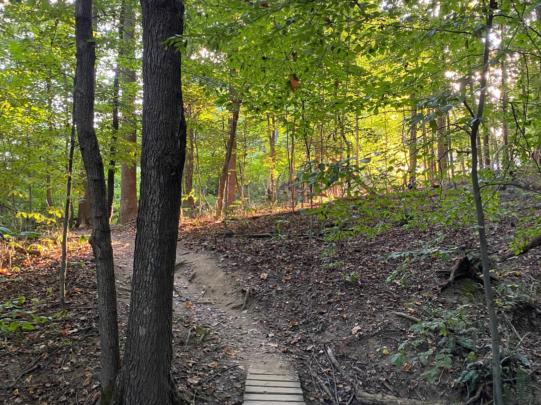 East Fork State Park-Bethel必去景点