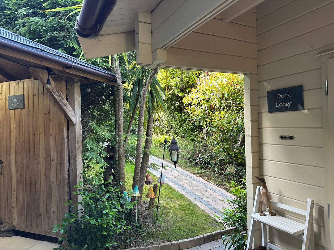 鸭子小屋家庭旅馆主图