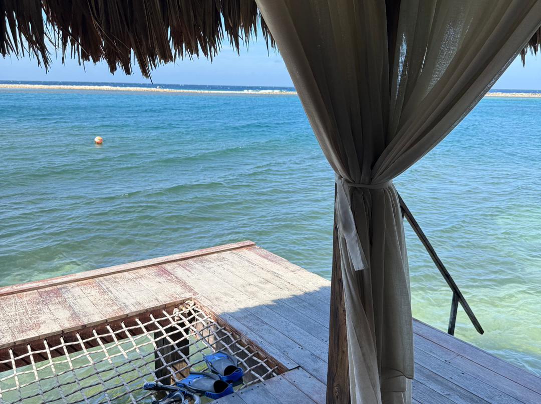 Aruba Ocean Villas主图