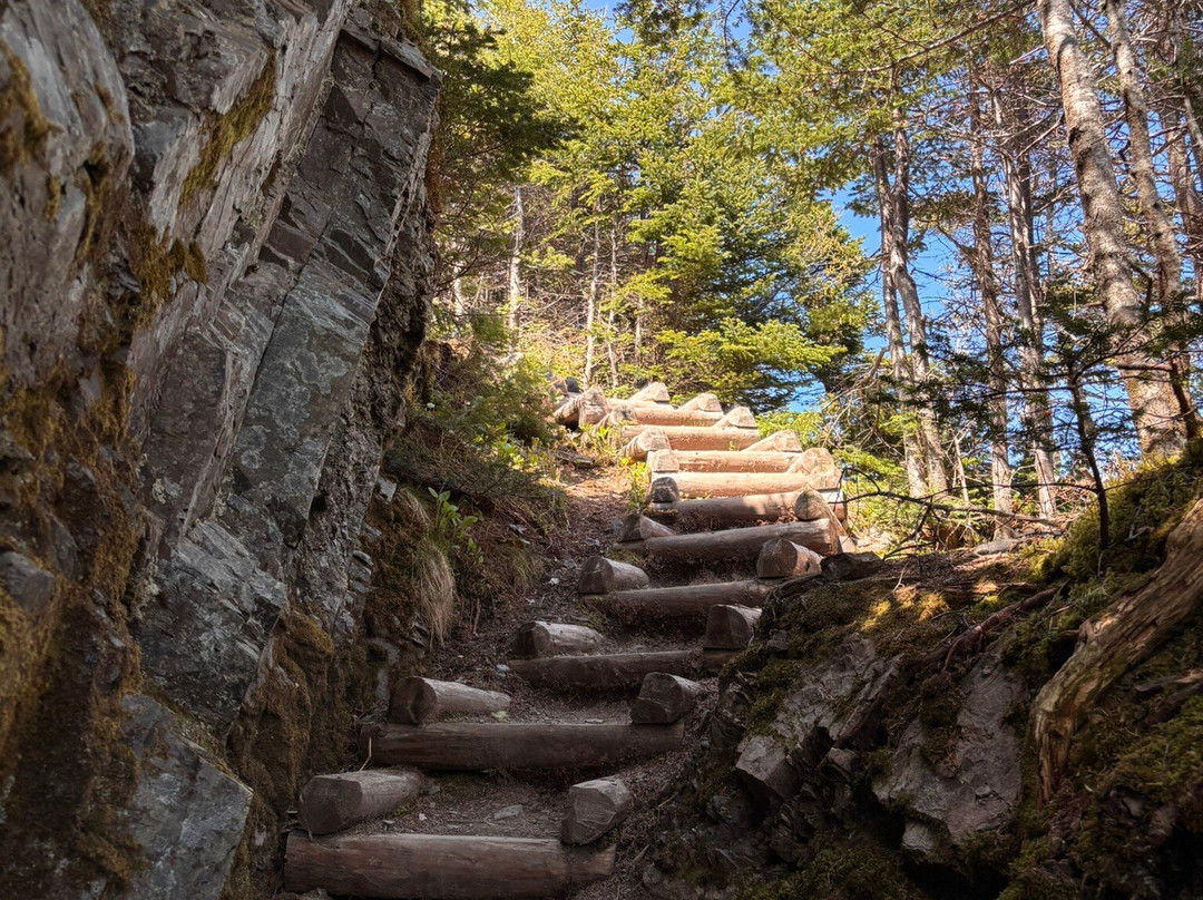 Skerwink Trail-Port Rexton必去景点