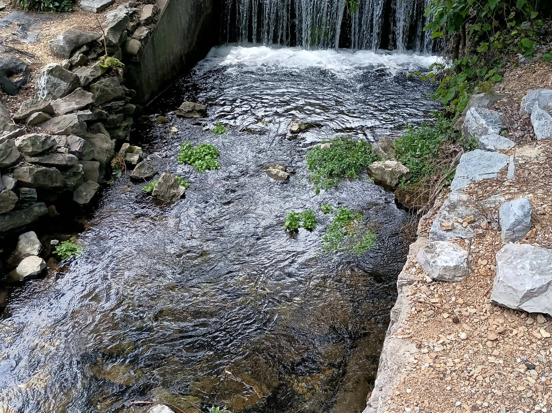 Big Spring Park-Neosho必去景点