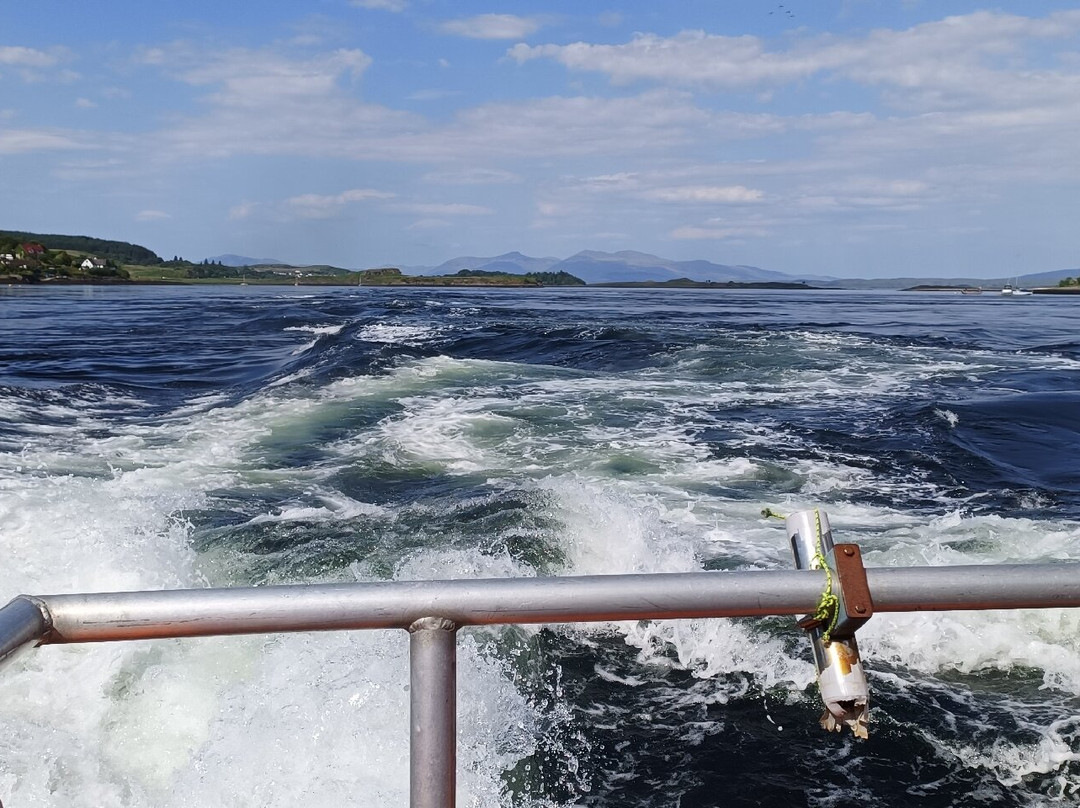 Etive Boat Trips-奥本必去景点
