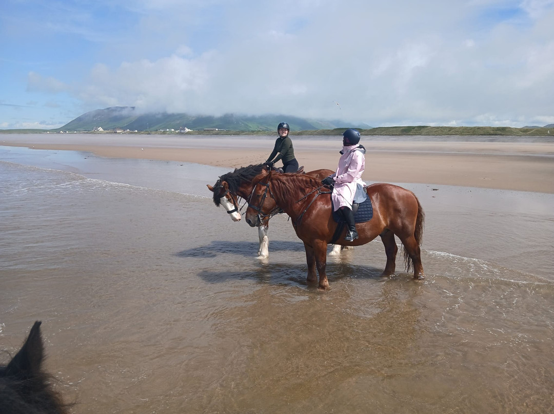 Cumbrian Heavy Horses-Millom必去景点