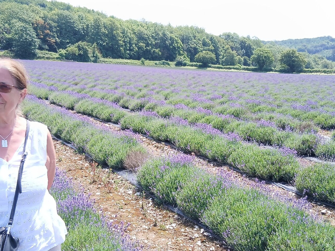 Castle Farm Shop-Shoreham必去景点