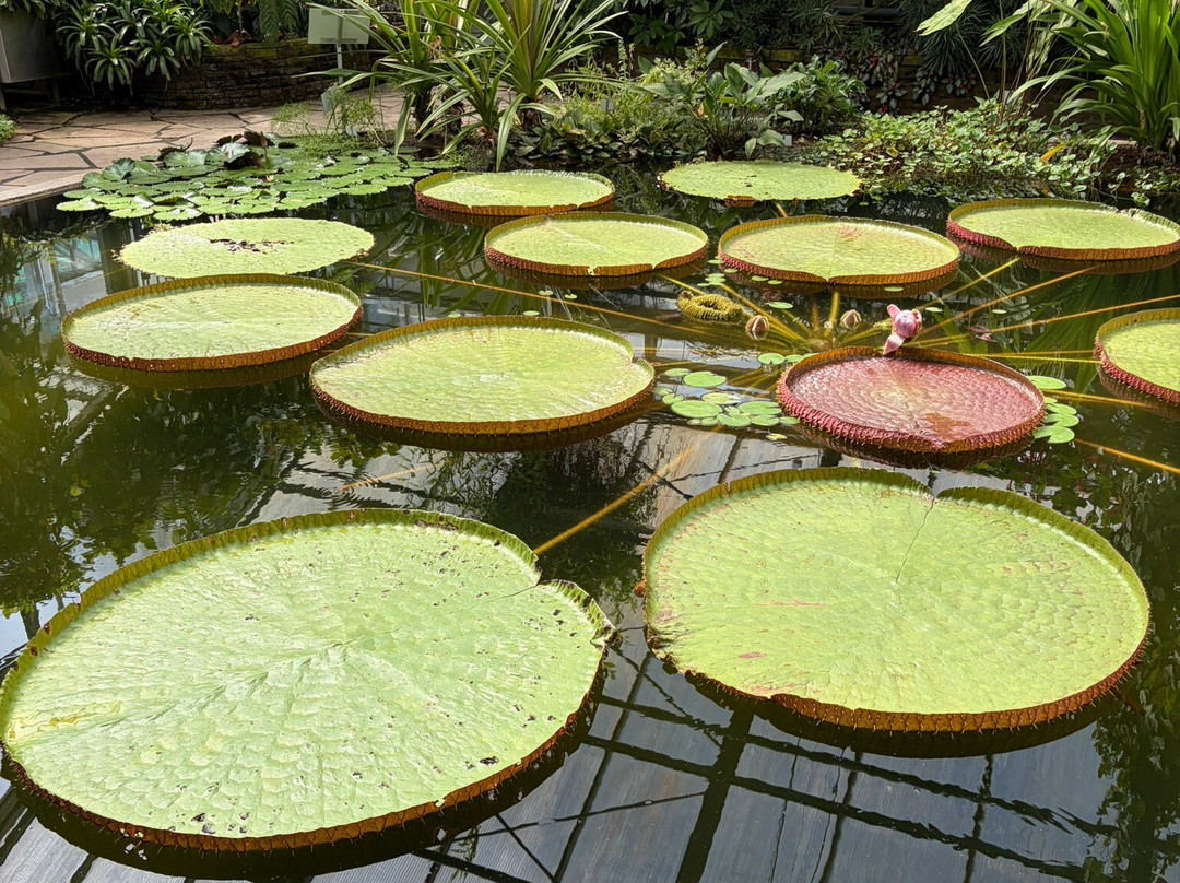 Botanical Garden, Bonn-波恩必去景点