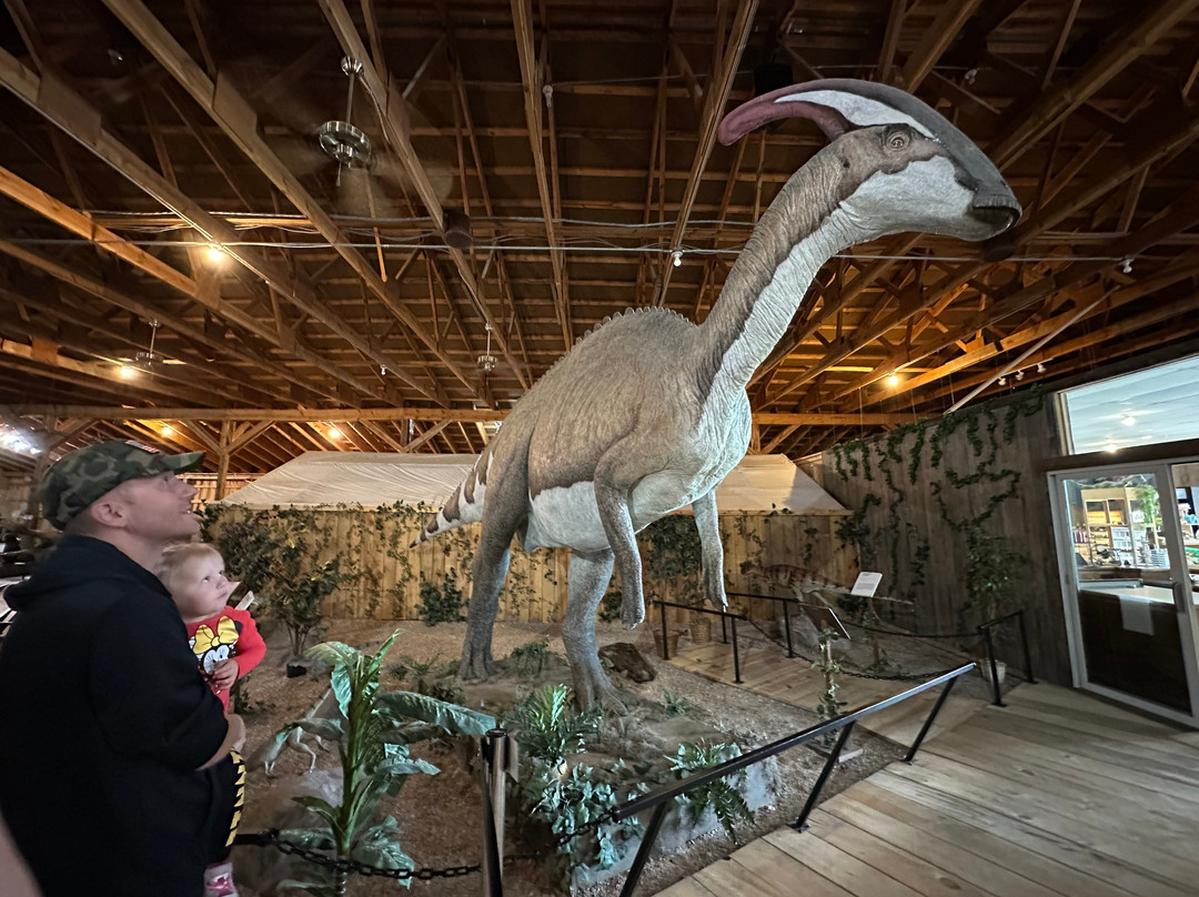 Dinosaur Museum-拉皮德城必去景点