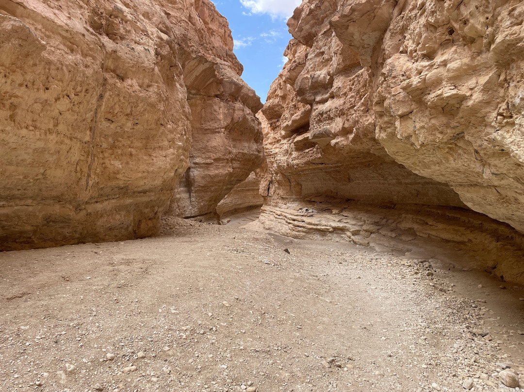 Tamerza Canyon-吐泽尔必去景点