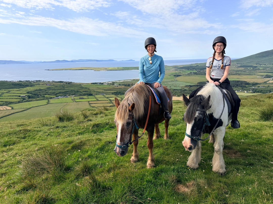 Long's Horse Riding-Ventry必去景点