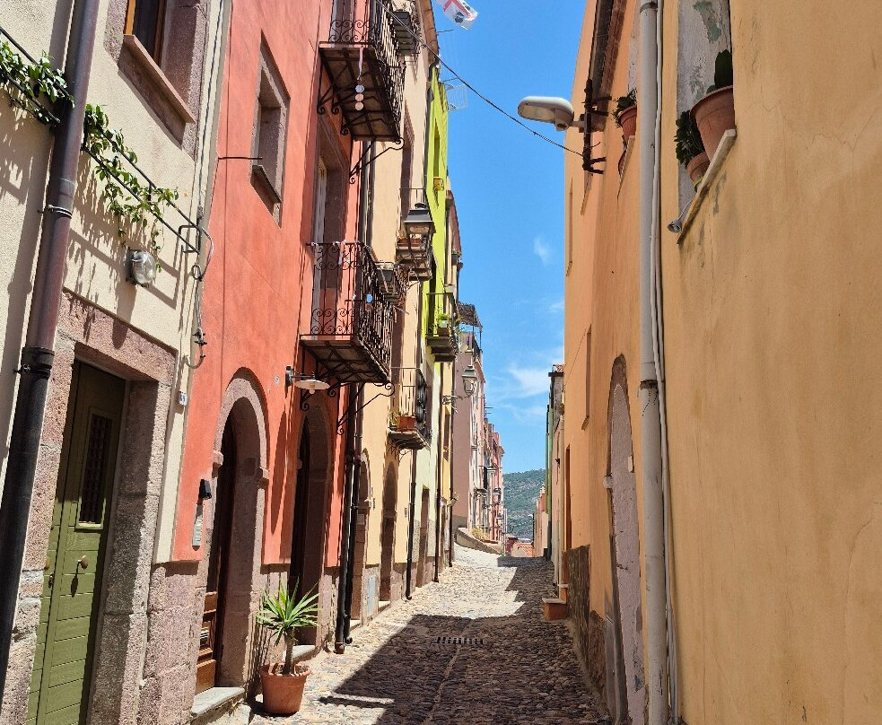 Centro storico di Bosa-博萨必去景点