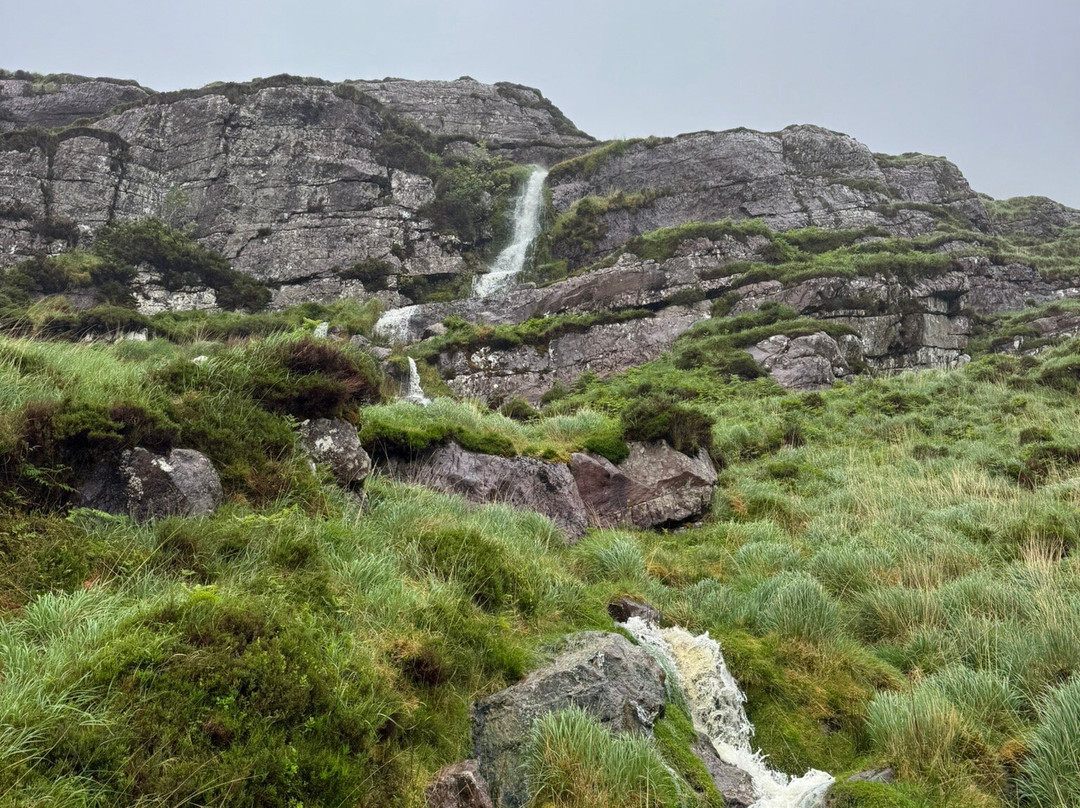 Glanteenassig Wood-Castlegregory必去景点
