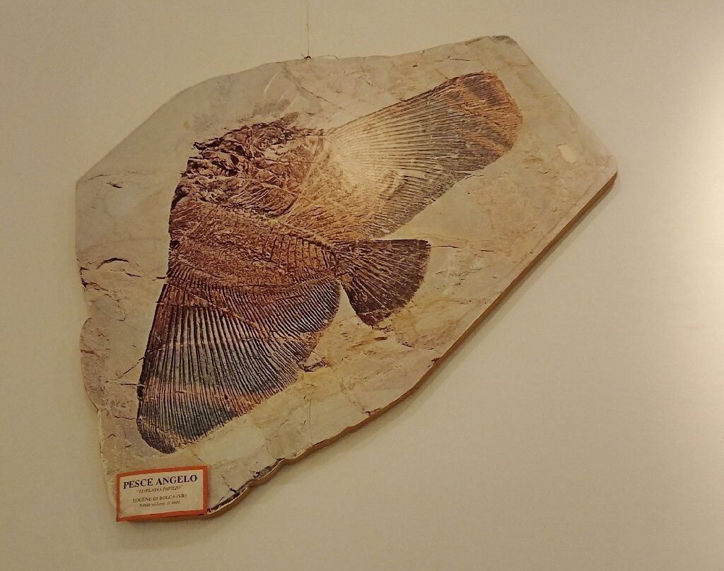 Museo della Marineria-切塞纳蒂科必去景点