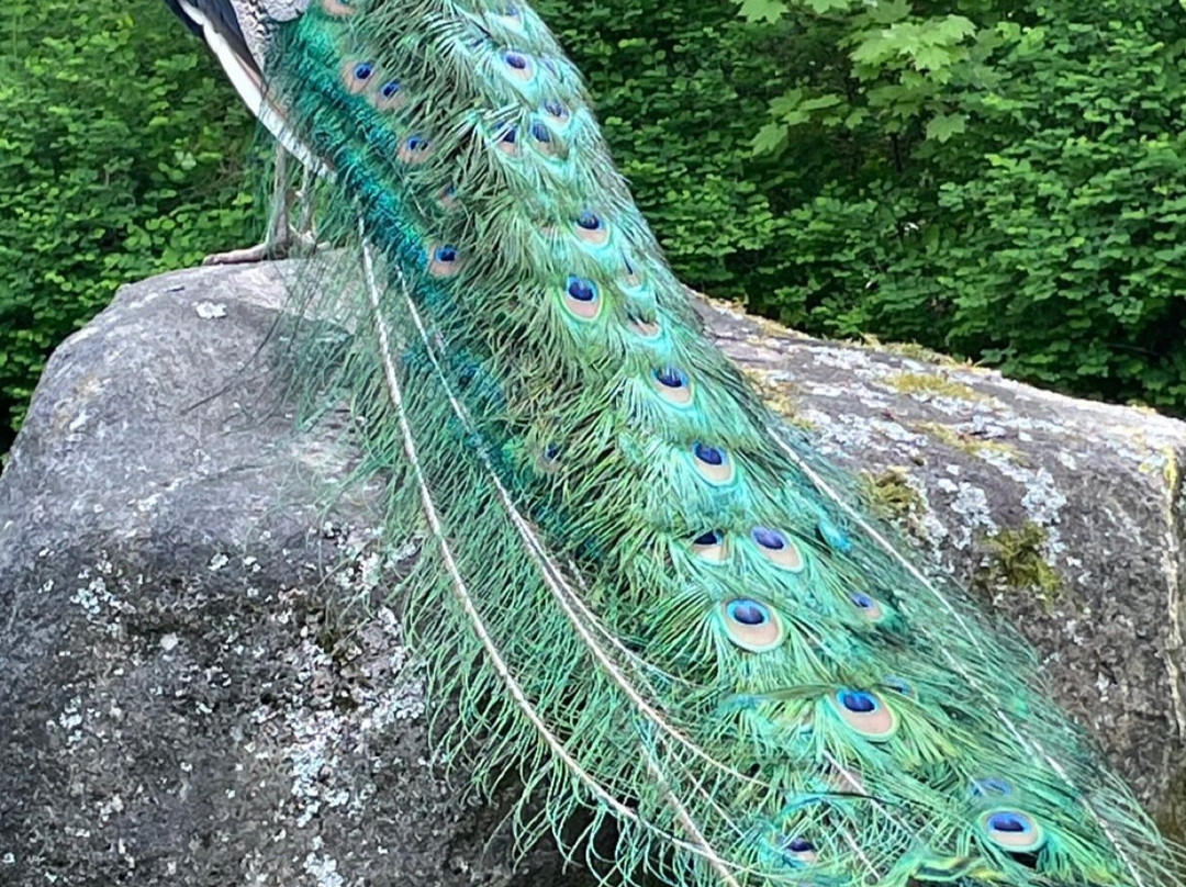 WAI Woods Art Institute-Wentorf bei Hamburg必去景点