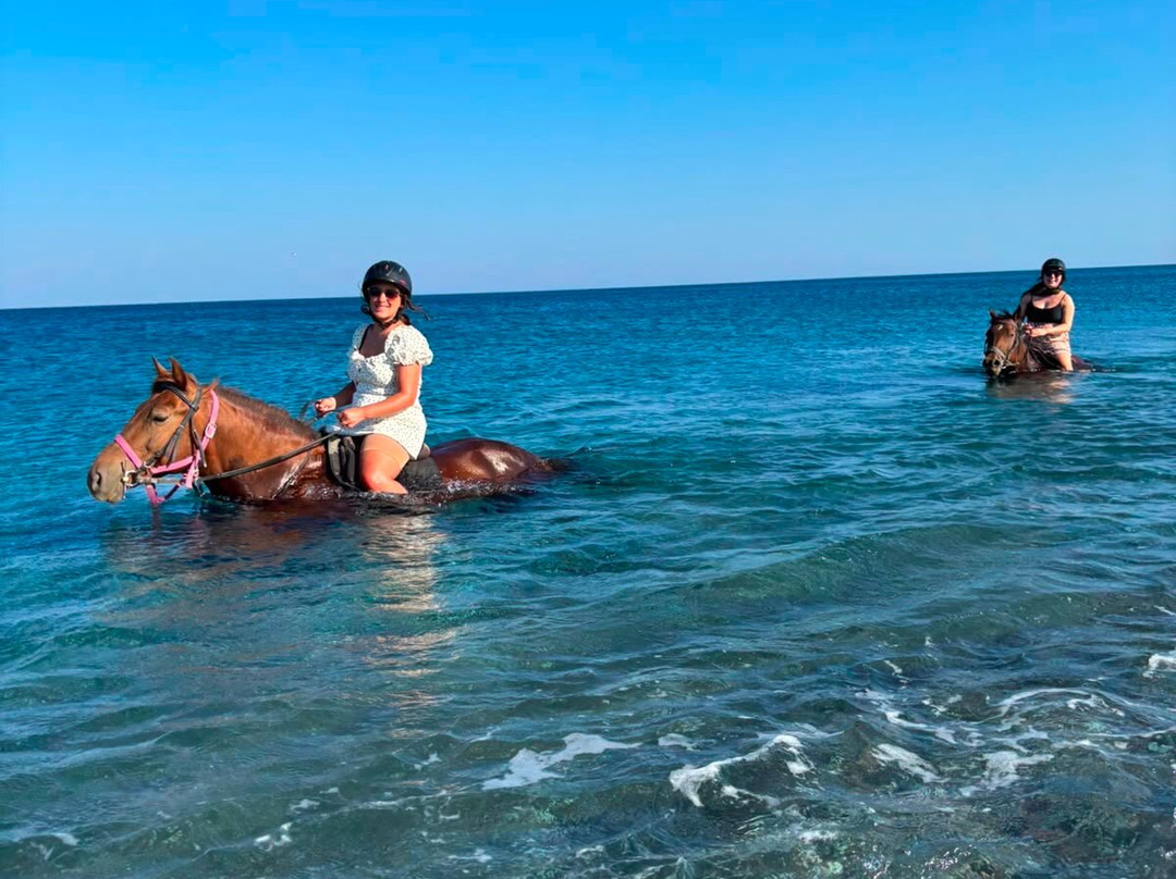 Rocking Horse Ranch-Gennadi必去景点