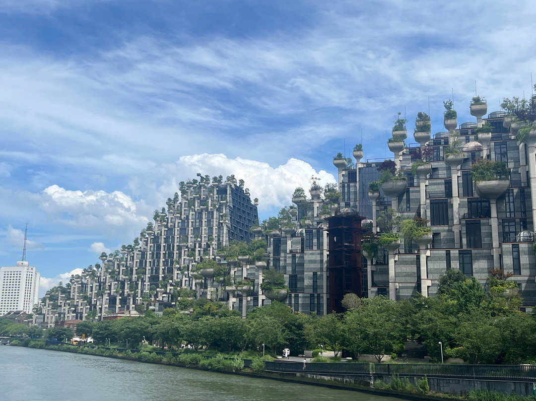 大洋晶典·天安千树