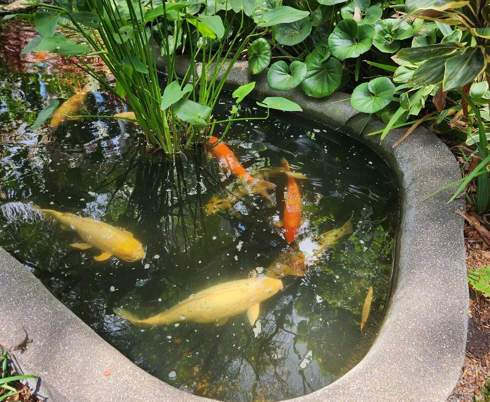 Sunken Gardens-圣彼德斯堡必去景点