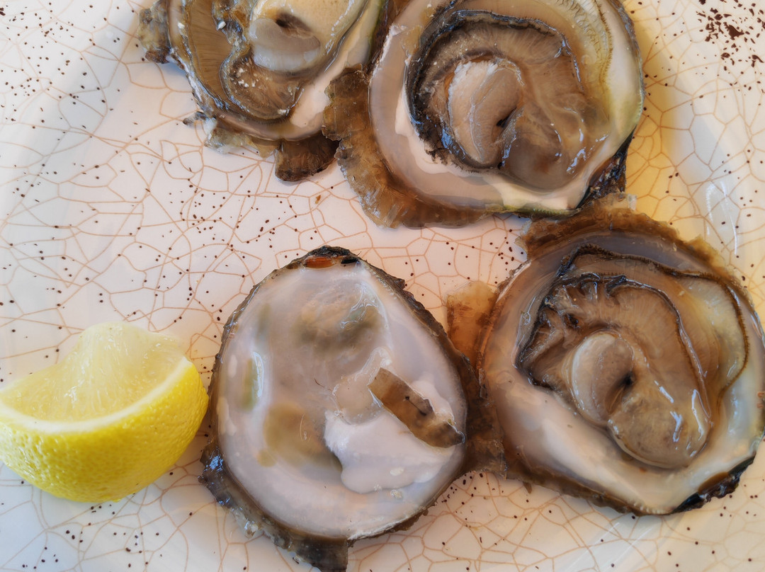 Mali Ston Oysters-Mali Ston必去景点