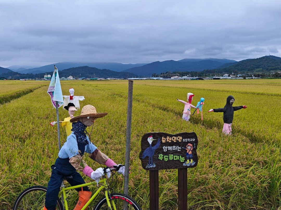 Suncheon Bay Wetland Reserve-顺天市必去景点