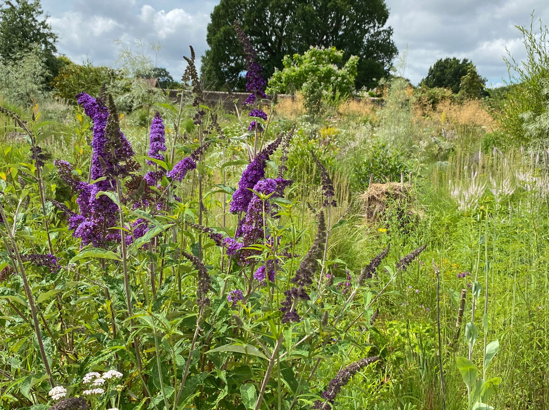 Knepp Rewilded Walled Garden-West Grinstead必去景点