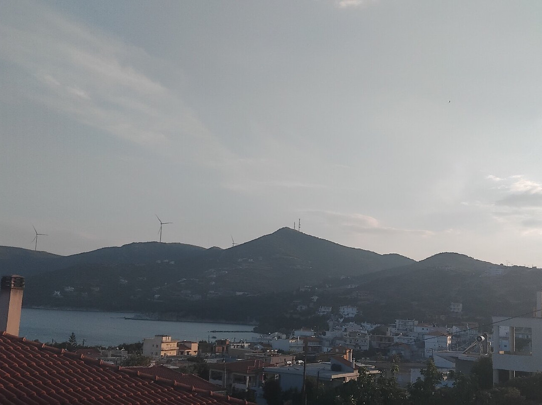 特利安塔菲丽娅旅馆主图