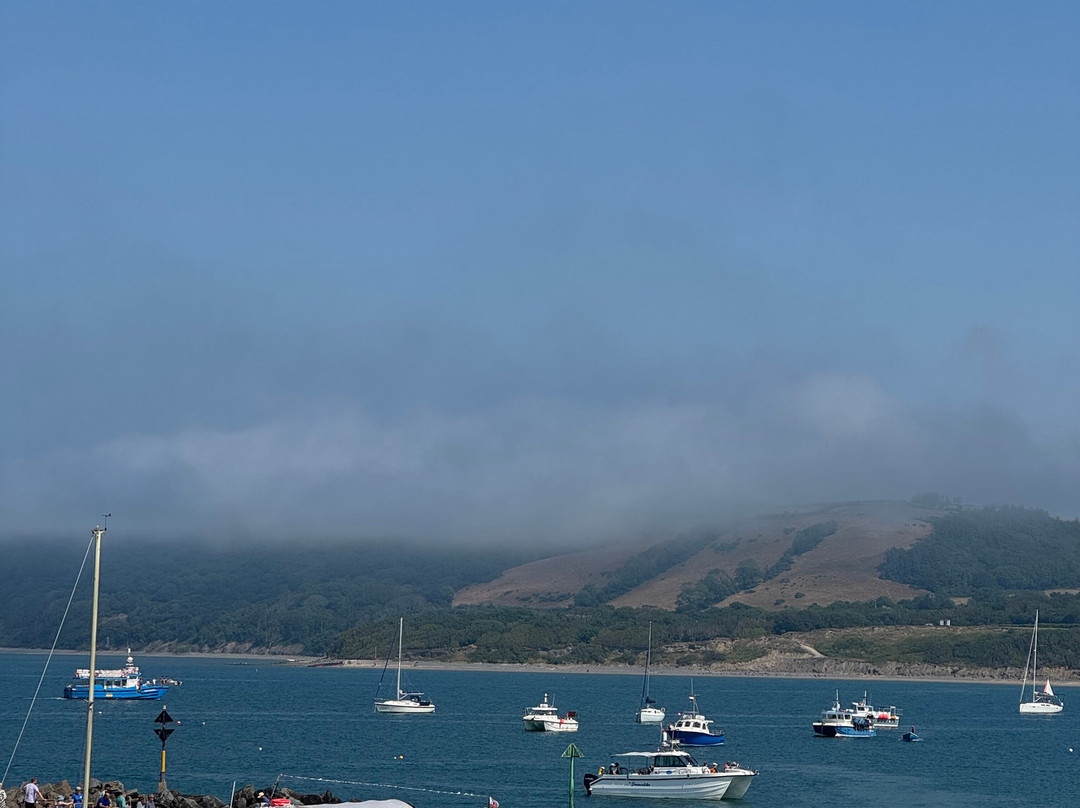 Dolphin Spotting Boat Trips (by New Quay Boat Trips)-纽基必去景点