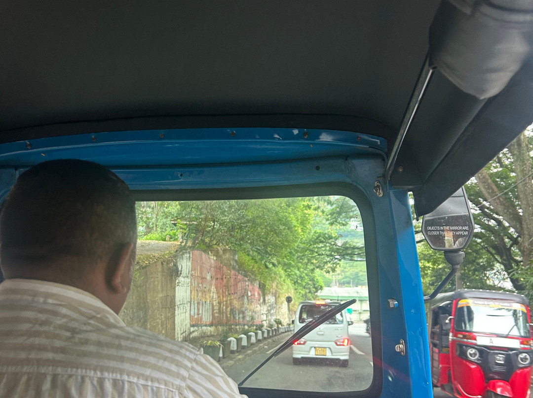 Private Tour Driver Sri Lanka-康提必去景点