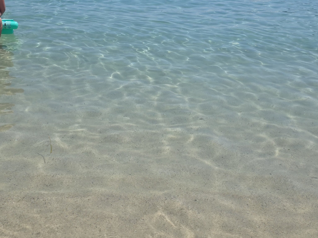 Spiaggia di Fetovaia-Campo nell'Elba必去景点