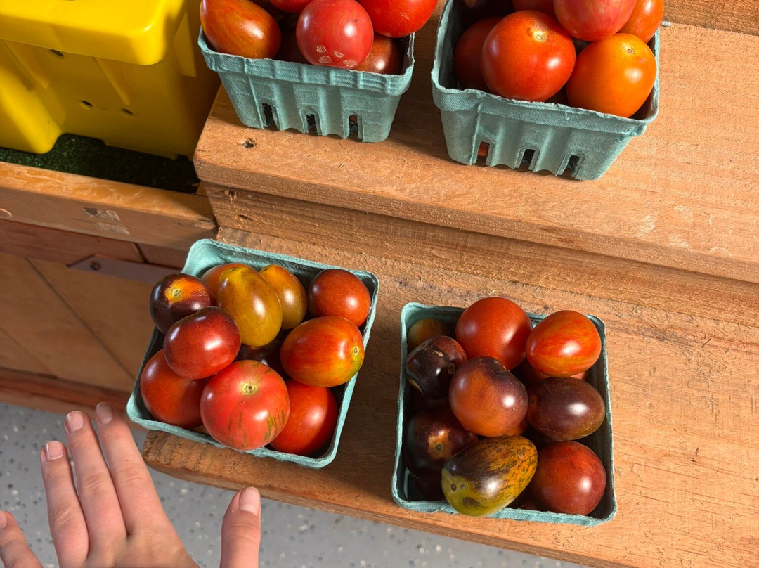 Hidden Creek Farm