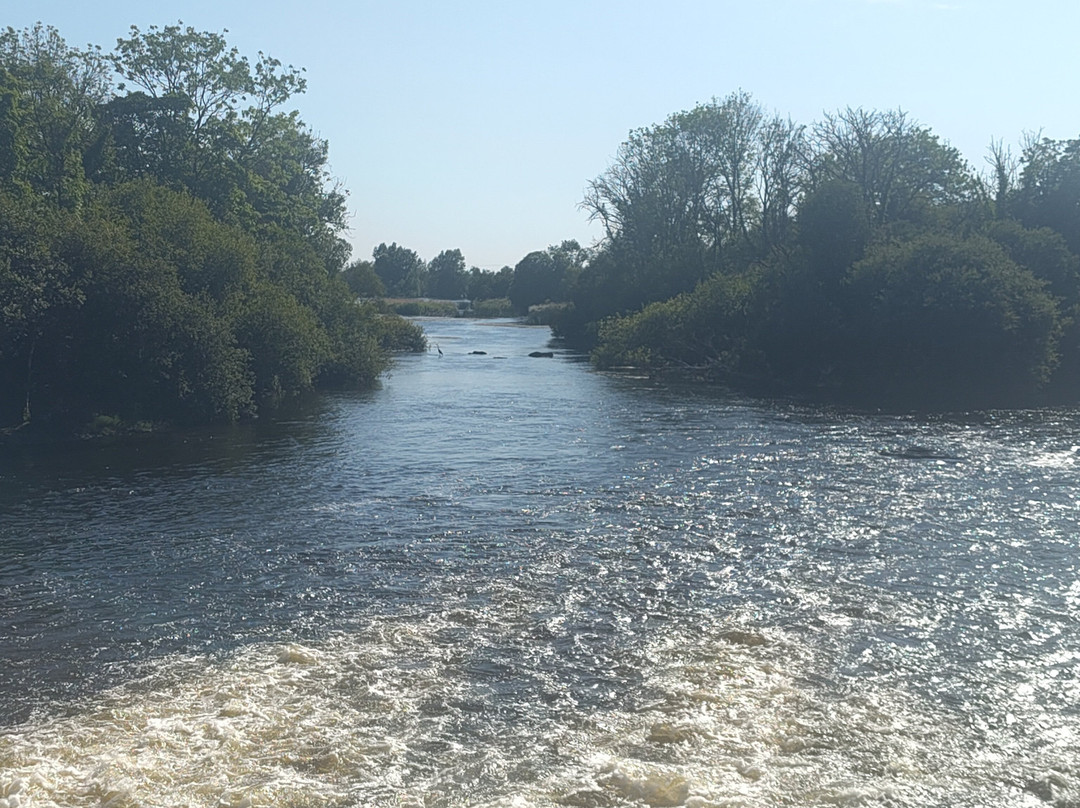 Emerald Star - Le Boat - Portumna-Portumna必去景点